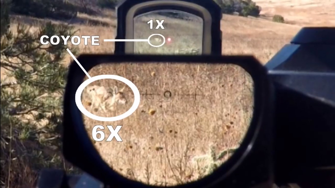 LEUPOLD D-EVO y LCO Disparando a un coyote